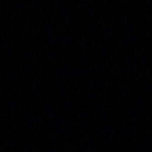 Meet your Posher, Cheyenne